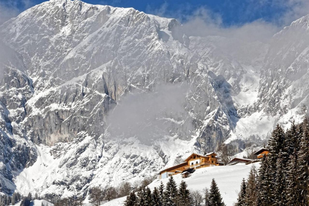 Gut Stein Panoramalodge Mühlbach am Hochkönig 외부 사진