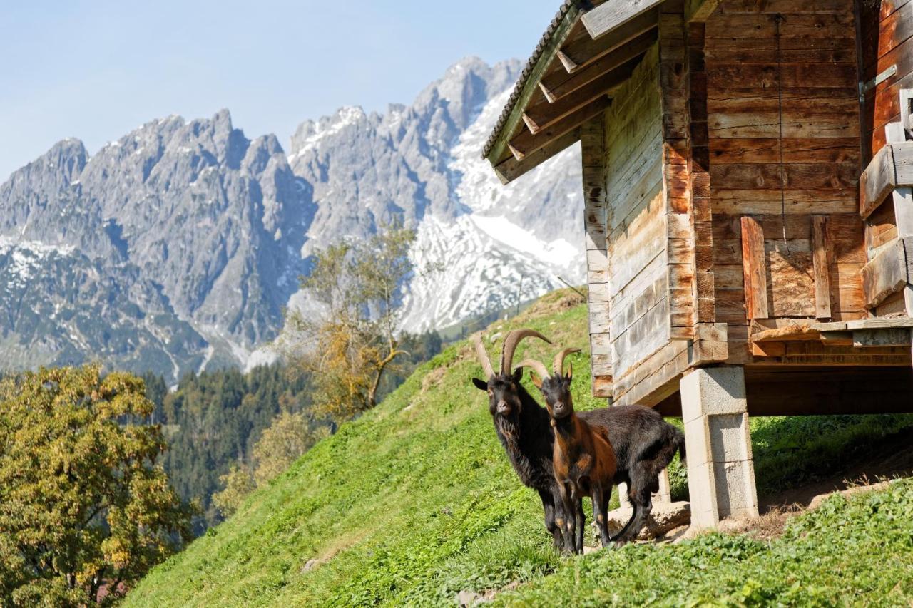 Gut Stein Panoramalodge Mühlbach am Hochkönig 외부 사진
