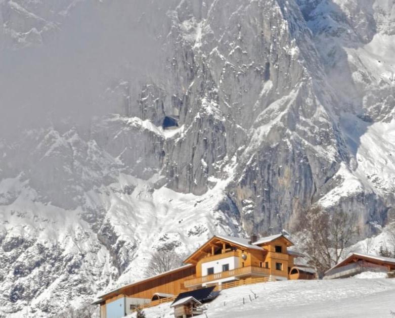 Gut Stein Panoramalodge Mühlbach am Hochkönig 외부 사진