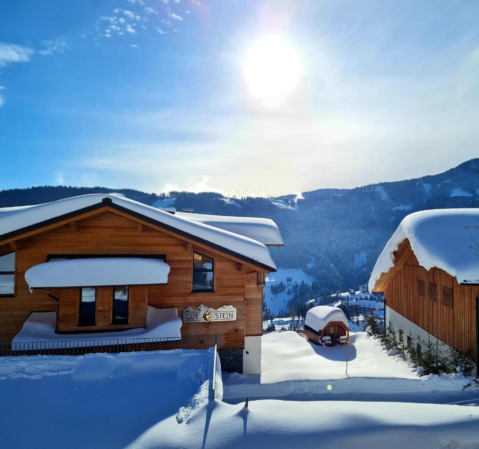 Gut Stein Panoramalodge Mühlbach am Hochkönig 외부 사진